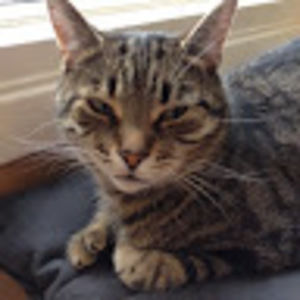 Meet your Posher, Levi